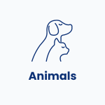 Animals domain names for sale