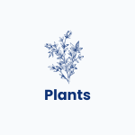 Plants domain names for sale