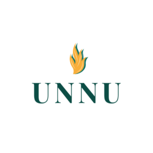 Unnu.org domain name for sale
