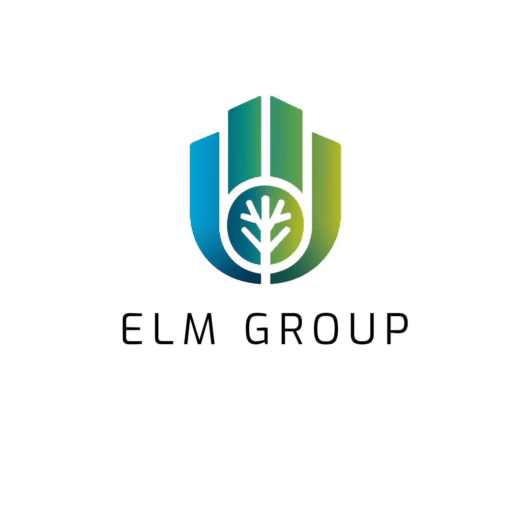 ELMgroup.org domain name for sale