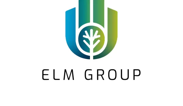 ELMgroup.org domain name for sale