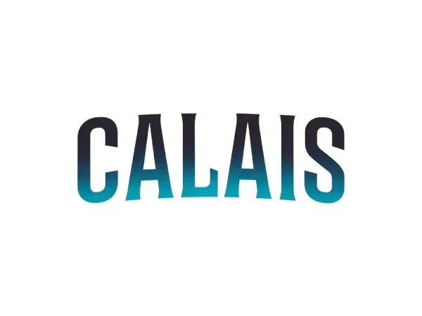 Calais.org domain name for sale
