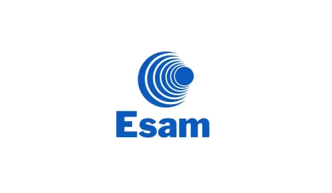 esam.co domain name for sale
