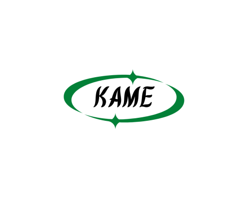 Kame.org Domain Name is For Sale