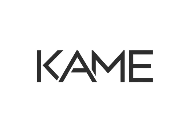 Kame.org Domain Name is For Sale