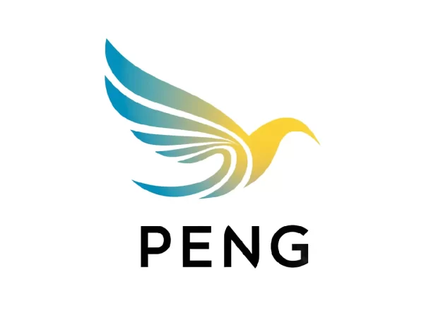 Peng.co domain name for sale