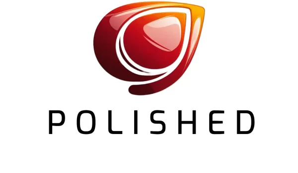 Polished.org Domain Name For Sale