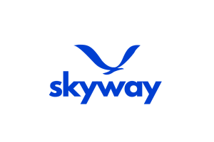 skyway.co domain name for sale