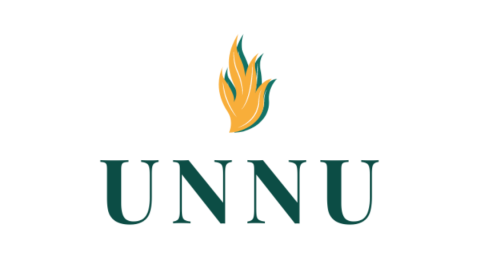 Unnu.org domain name for sale